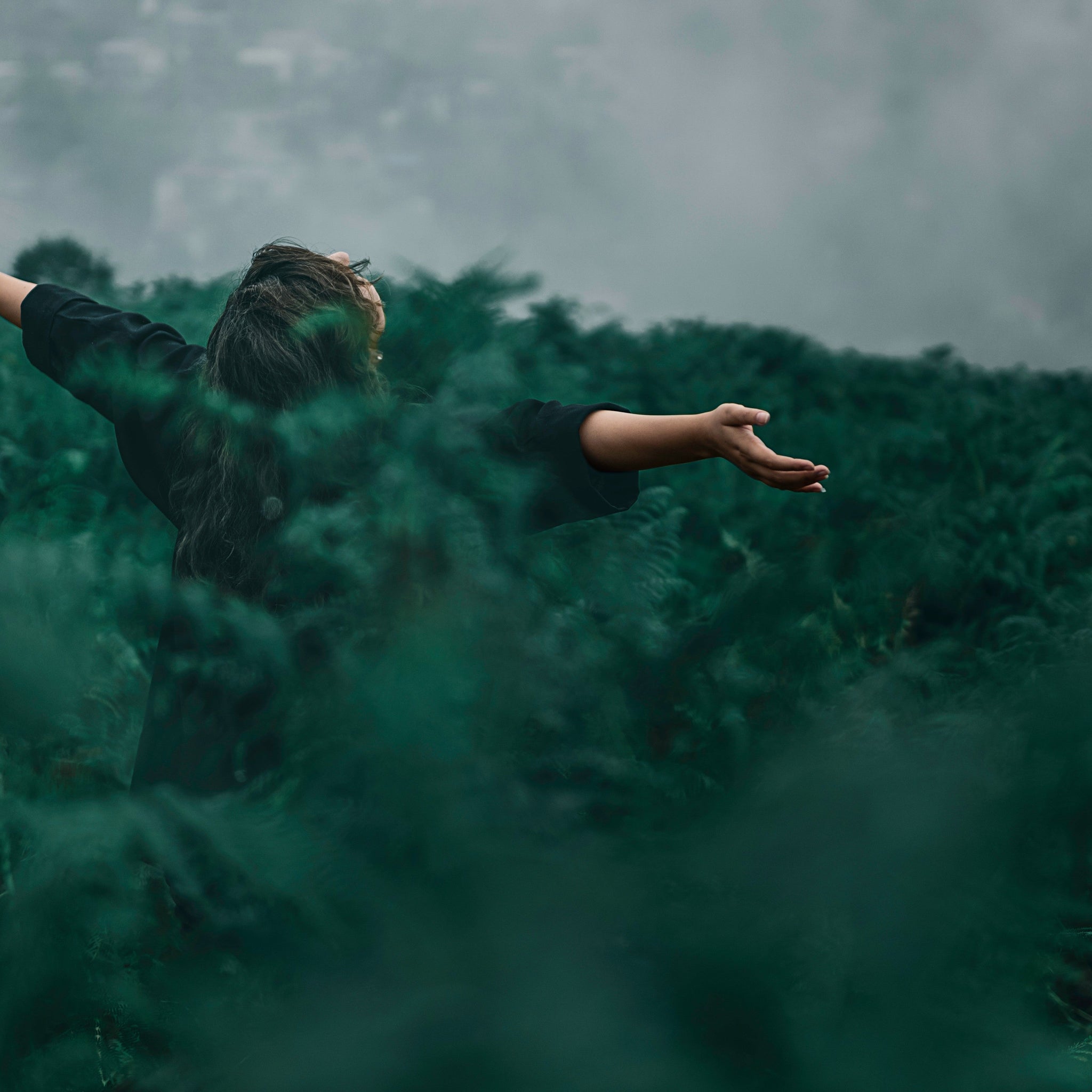 A person standing among foliage while looking up at the sky