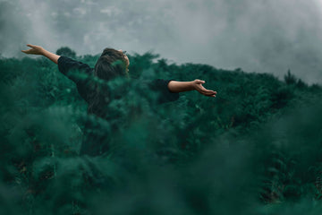 A person standing among foliage while looking up at the sky