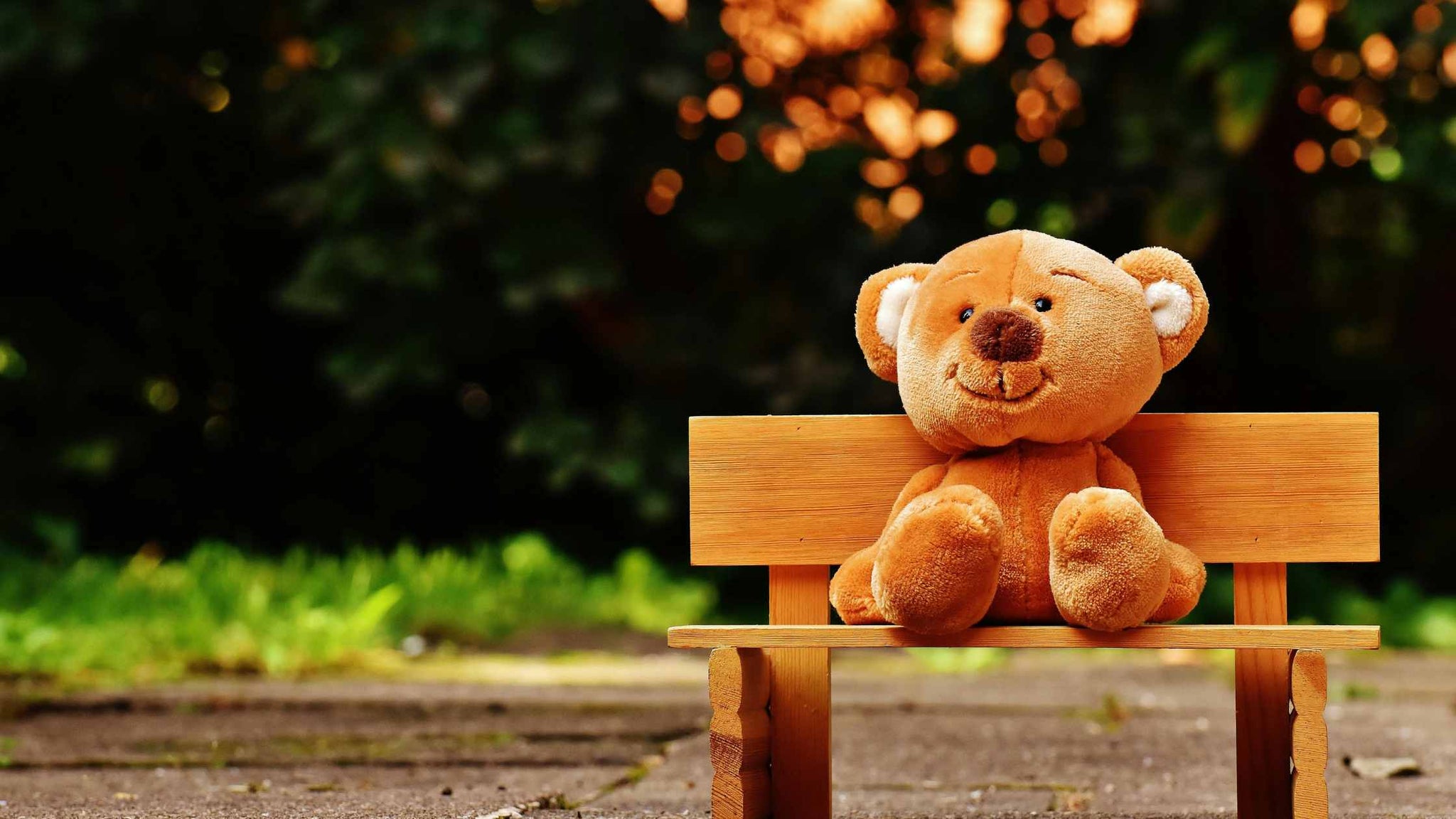 Free Brown Teddy Bear on Brown Wooden Bench Outside Stock Photo